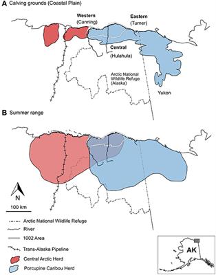 Historical Landscape Use of Migratory Caribou: New Insights From Old Antlers